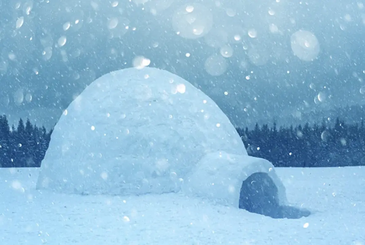 The Blizzard