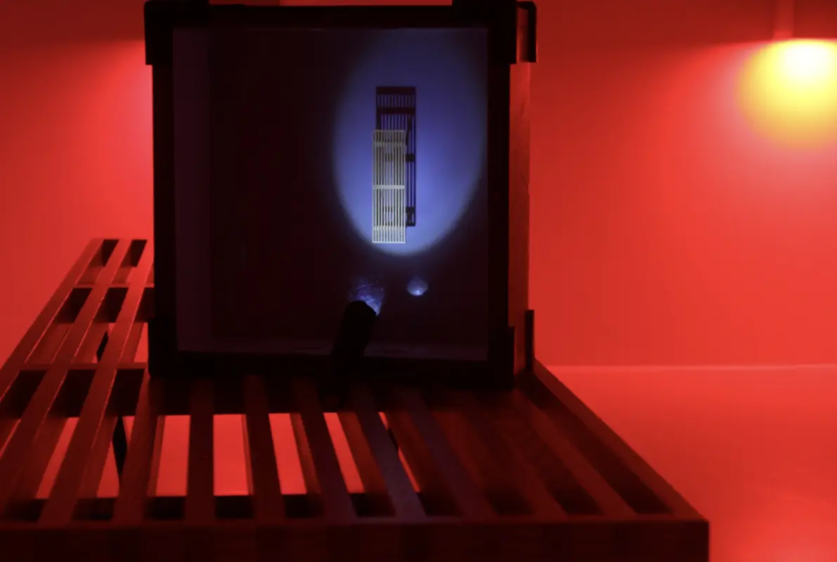 Vererbtes Doppelleben (pause & play) Escape Room
