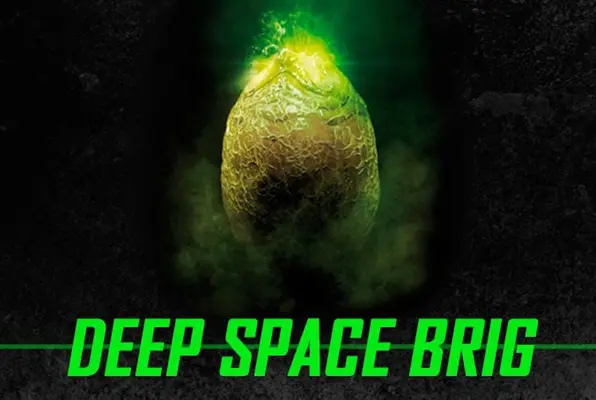 Deep Space Brig