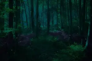 The Witch's Curse