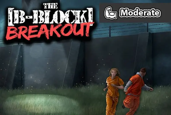 B-Block Breakout VR