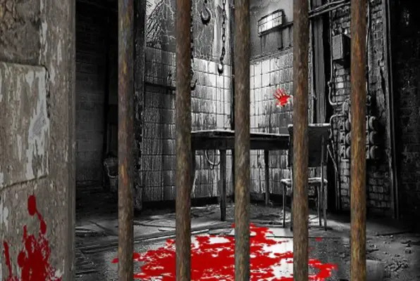 Serial Killer: Trapped Escape Room (Brain Quest) Escape Room