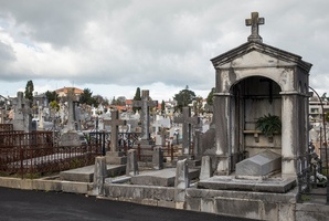 Квест Tomb of the Forgotten