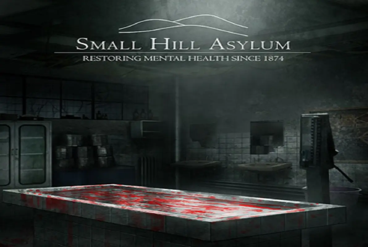 Small Hill Asylum