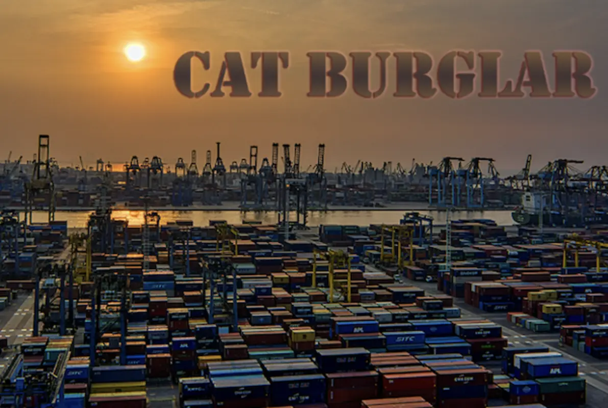 Cat Burglar