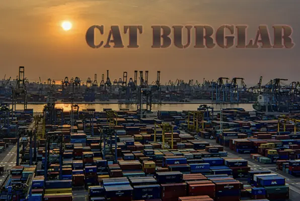 Cat Burglar
