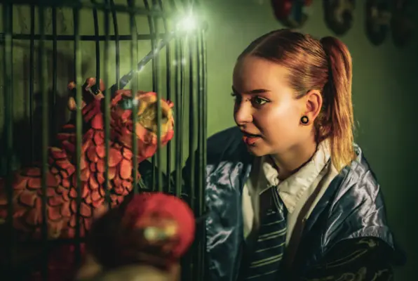 Harrys Zauberschule (Black Room) Escape Room