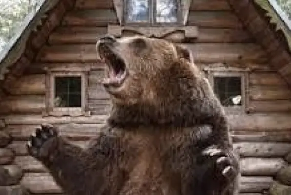 Bear Trap