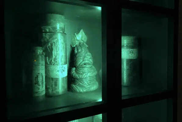 Heiligtümer der Zauberschule (Funxperience Langenhagen) Escape Room