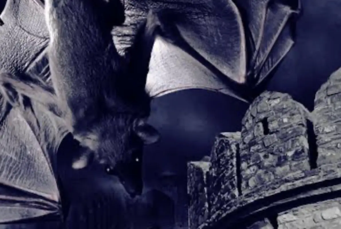 A Night in Bhangarh
