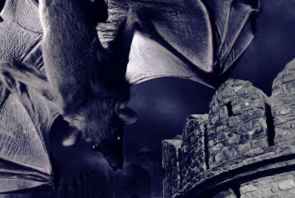 A Night in Bhangarh
