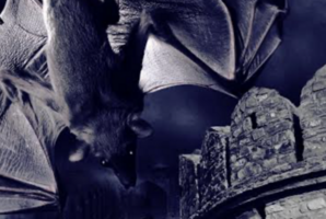 Квест A Night in Bhangarh