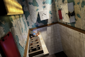 Квест The Asylum
