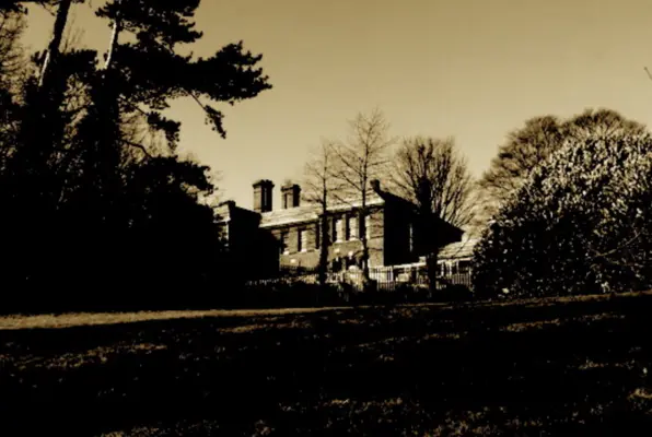 Asylum
