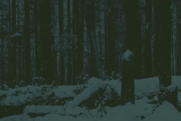 Cabin Cult