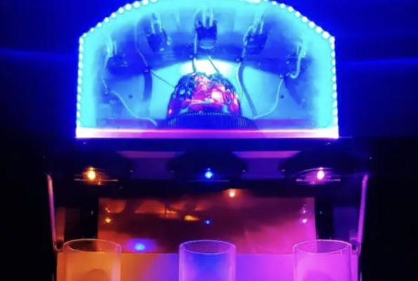 Rosswell Alien Encounter (Escape the Trap House) Escape Room