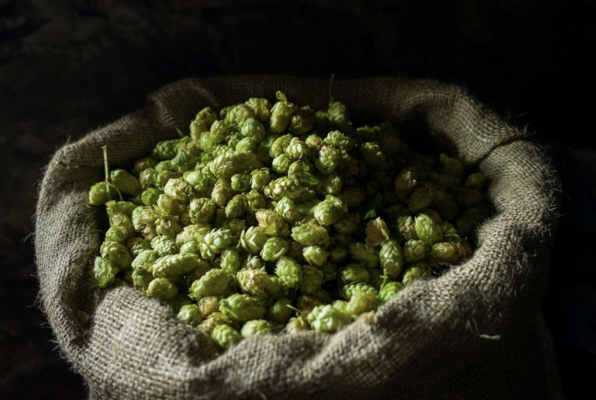 Auf den Spuren von Theophil Roniger – Unser Gründervater (Feldschlösschen Brauerei) Escape Room Auf den Spuren von Theophil Roniger – Unser Gründervater (Feldschlösschen Brauerei) Escape Room