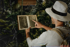 Квест Ciudad de Vacaciones