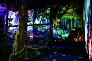 Квест Der Zauberwald