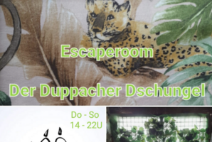 Квест Duppacher Dschungel