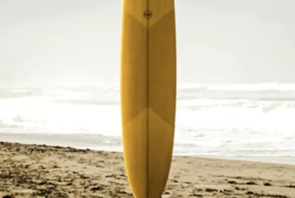 The Surf Shack