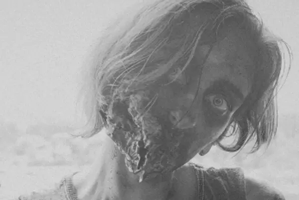 The Zombie Apocalypse