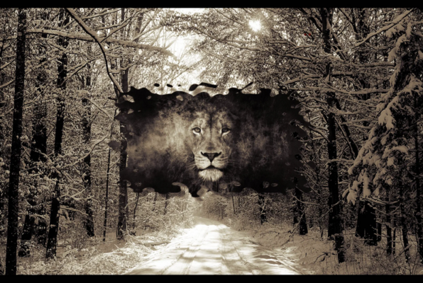 Die 4 Hochkönige / Micheldorf (Escape Game Oberösterreich) Escape Room