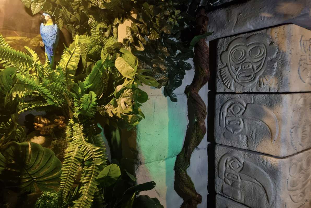Schatz des Amazonas (Scavenger Escape Salzburg) Escape Room