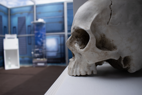 Arktische Mission Movescape (Scavenger Escape Salzburg) Escape Room