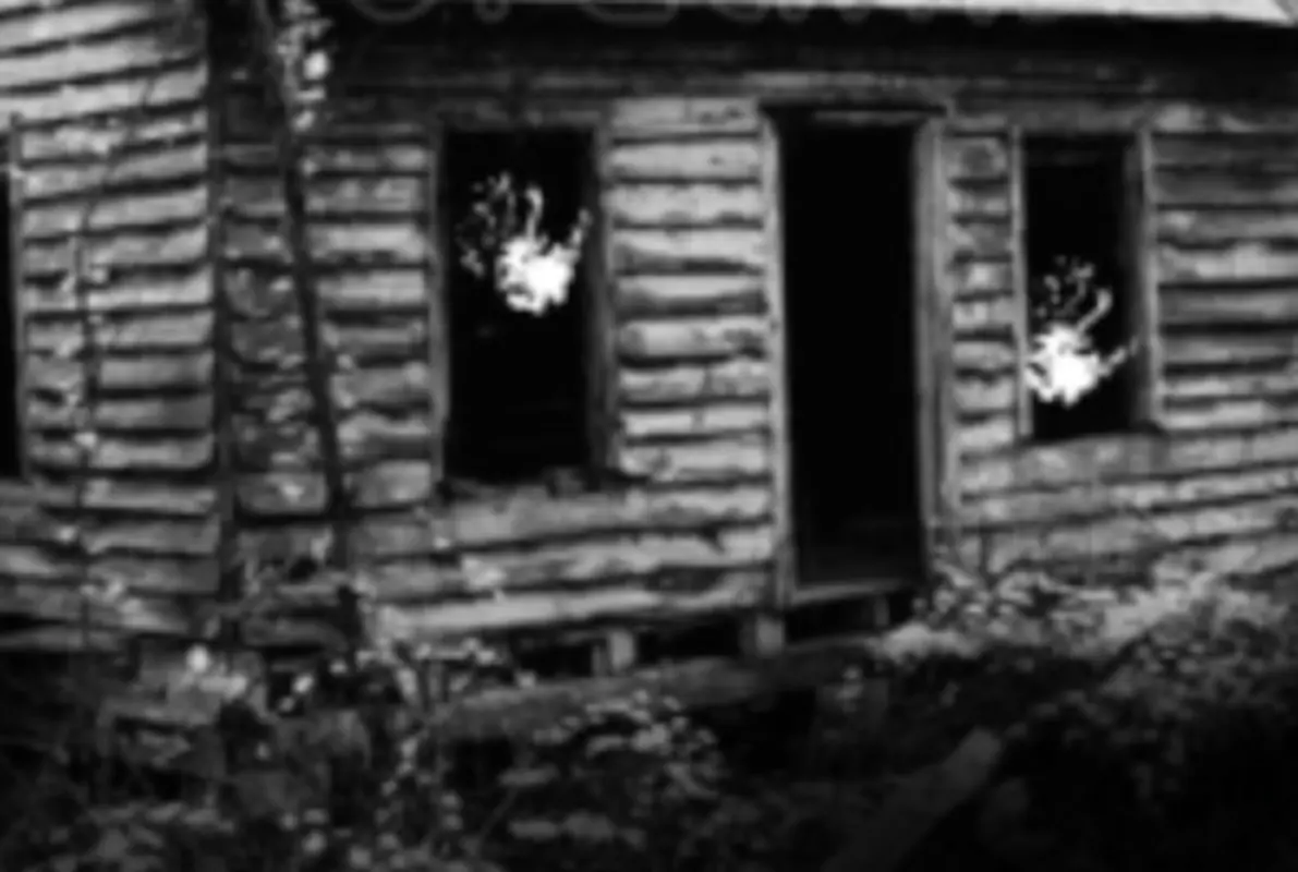 Cabin in the Woods