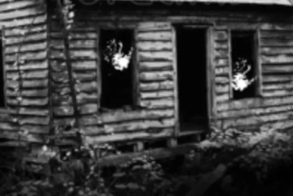 Cabin in the Woods (The Clever Cat Escape Rooms) Escape Room