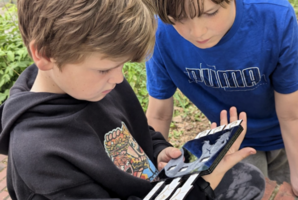 Квест Operation schwarze Viper