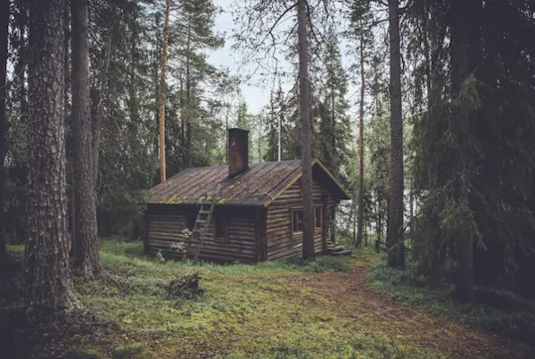 The Cabin