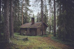 Квест The Cabin