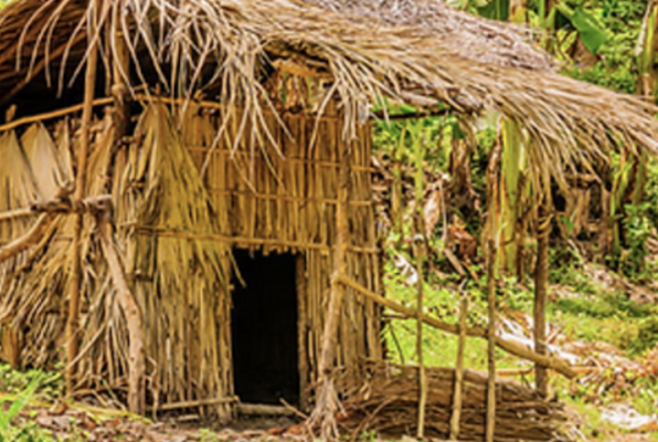 Jungle Fever (Hudson Escape Rooms) Escape Room