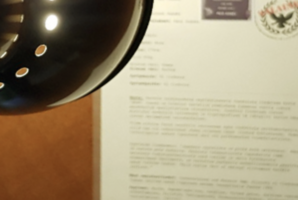 Квест The Crime Scene