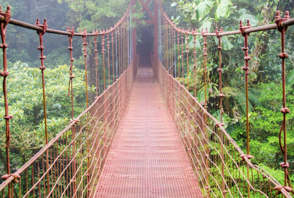 Jungle Games