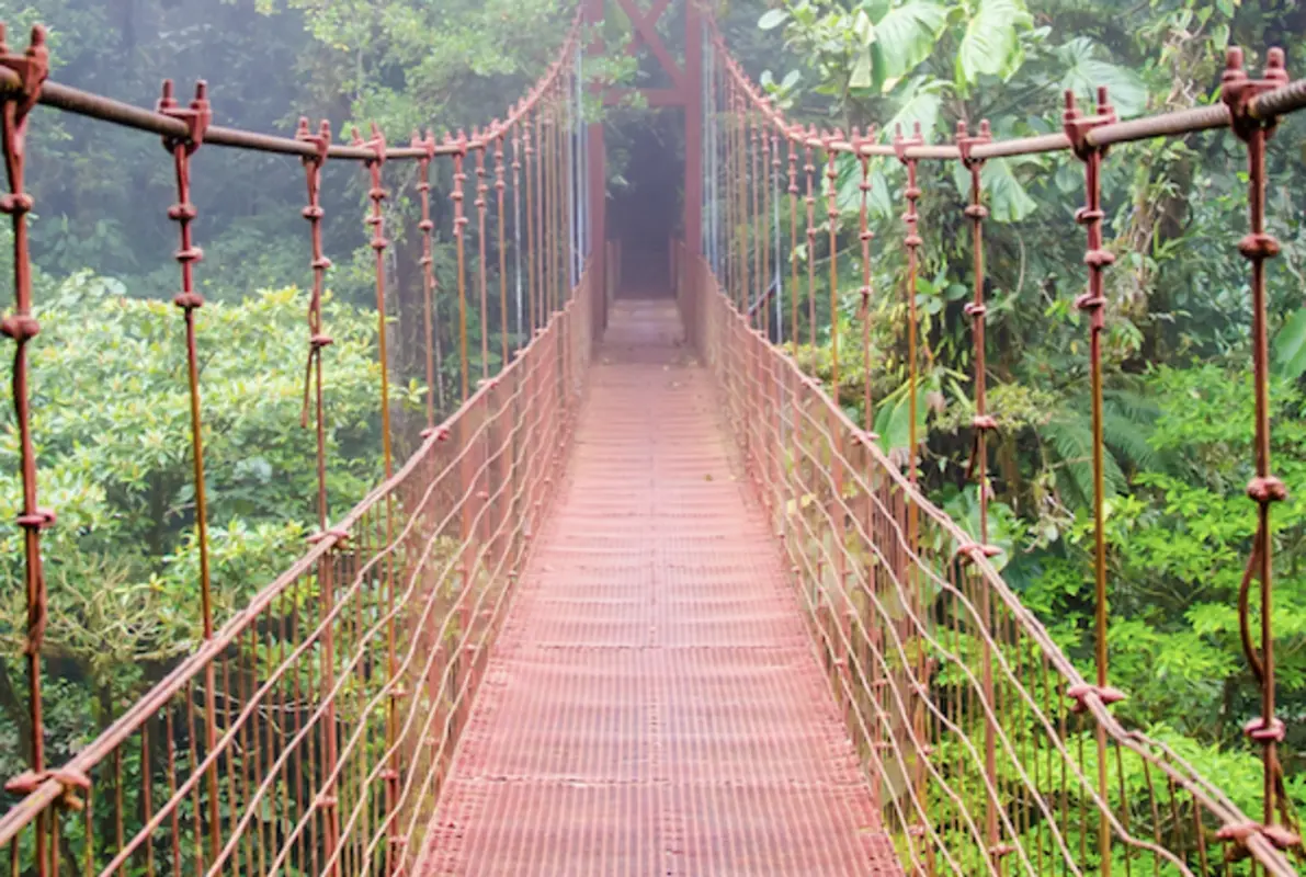 Jungle Games