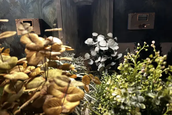Little Greenhouse of Horrors (MindEscape) Escape Room