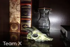 Die magische Bibliothek / The Magic Library