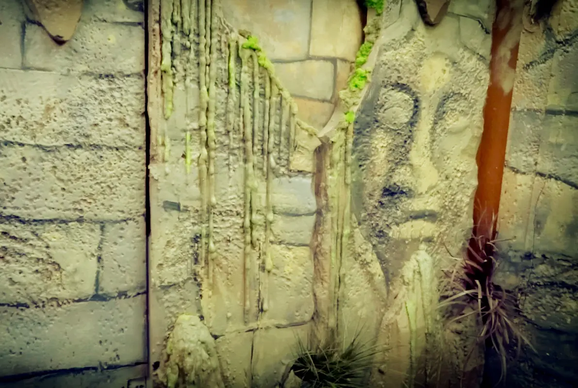 The Mayan Tomb