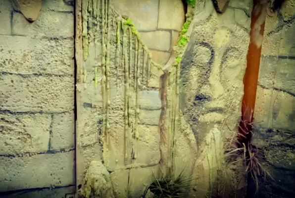 The Mayan Tomb (Last Minute Escape) Escape Room