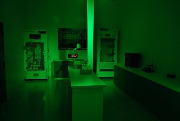 Exposure (Project: Escape) Escape Room
