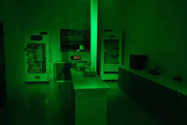 Exposure (Project: Escape) Escape Room