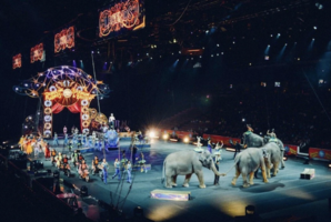 Квест Circus Room