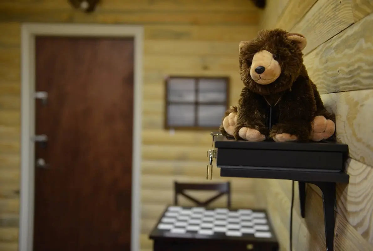 Cabin Fever Room