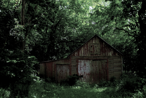 Cabin in the Woods (ESCAPEability) Escape Room