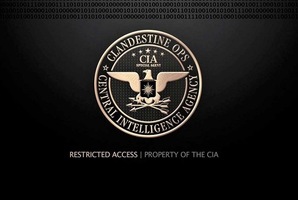 Central Intelligence
