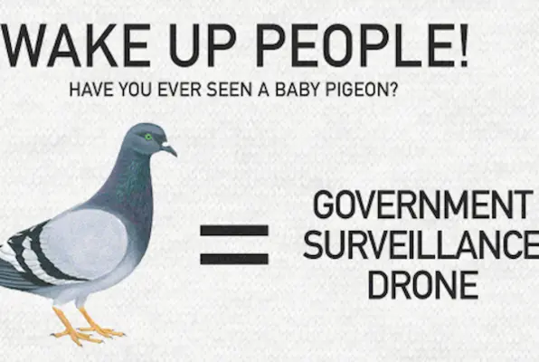 Birds Aren't Real