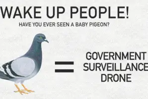 Birds Aren't Real